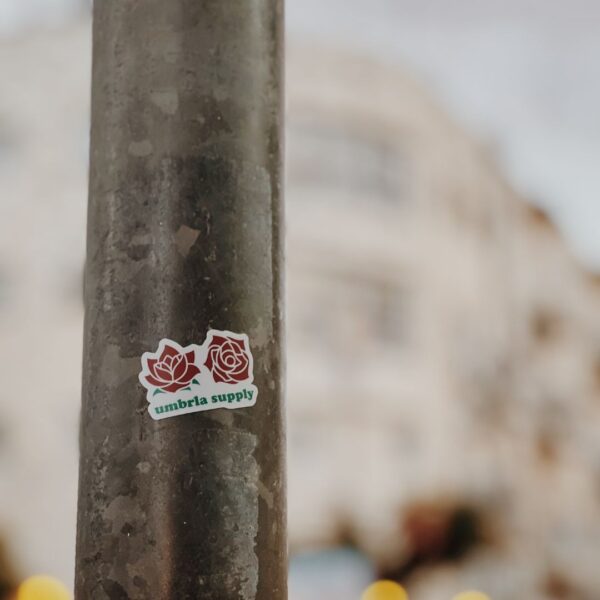 Rose Sticker in Paris